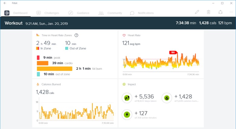 fitbit ski tracking