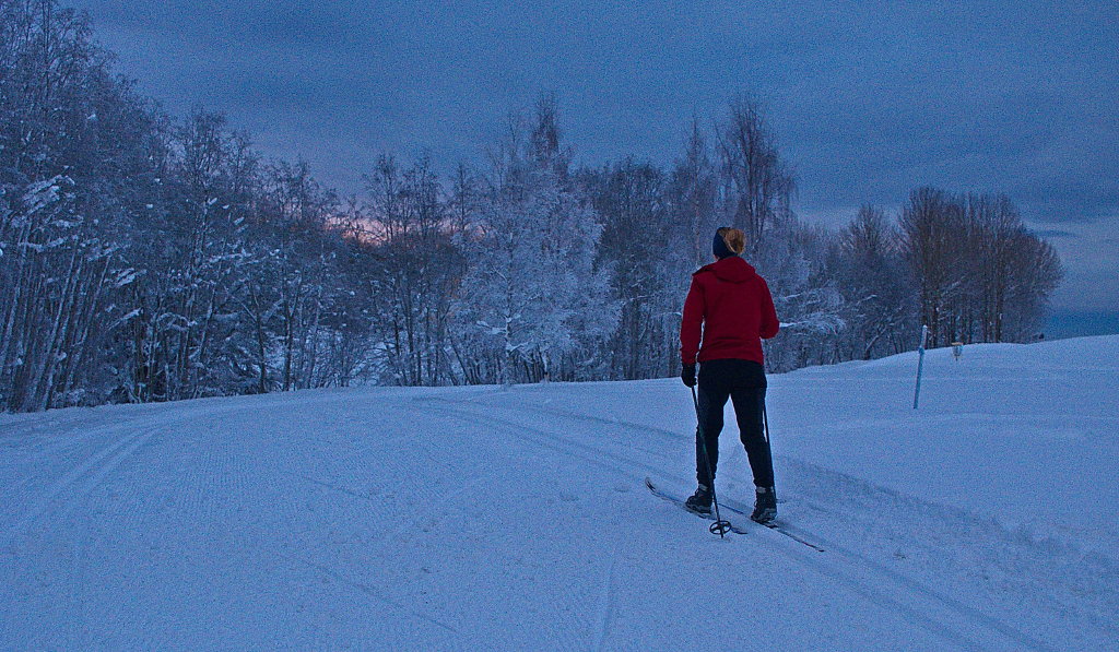 fitbit skiing