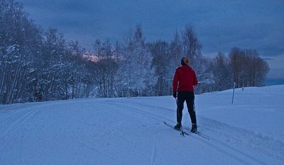P1340540-Vinter ved Dragvoll_6.jpg