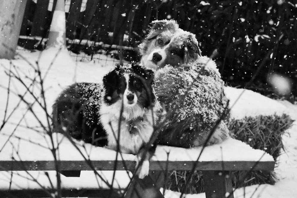 What?  We're good.  Go back inside!