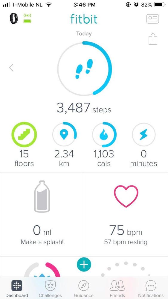 fitbit 2.jpg