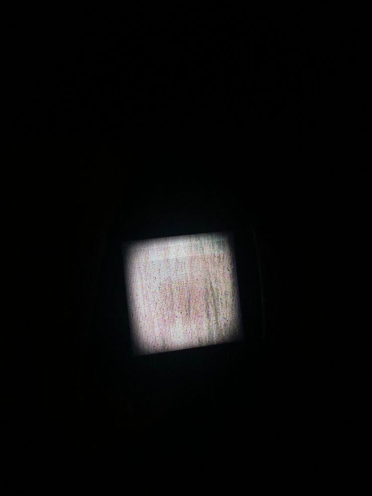 237E825E-50E4-44B4-A20D-C777E808AABA.jpeg