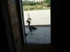 ducksgoathouse.jpg