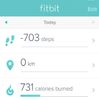 fitbit.jpg