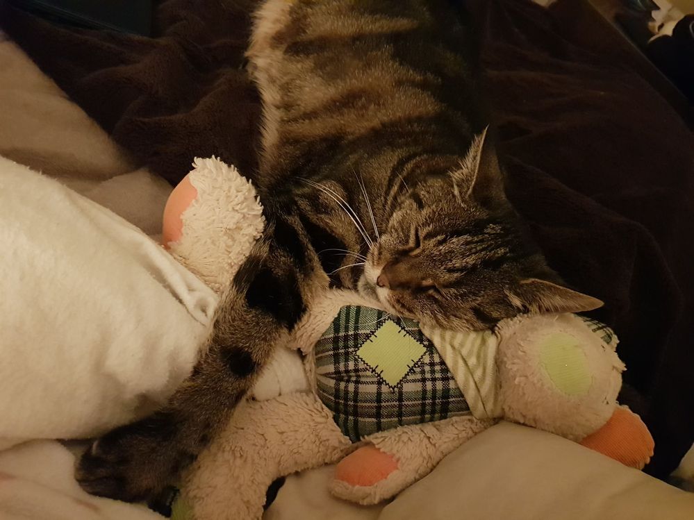 Matilda