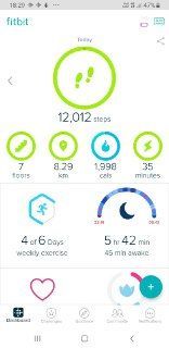 fitbit2.jpg