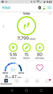 Fitbit High Steps.png