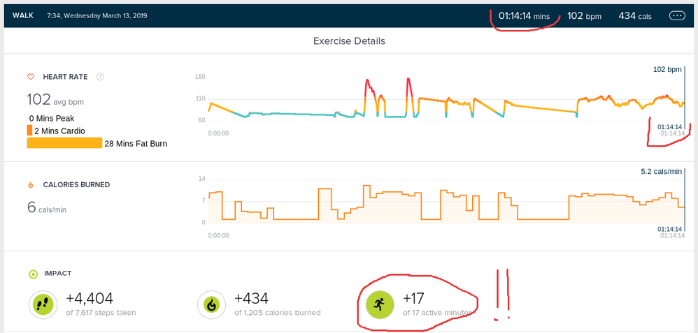 fitbit_workout.png