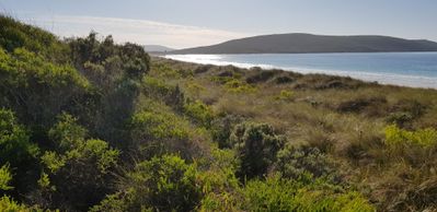 To Middleton Beach
