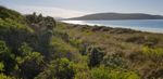 To Middleton Beach
