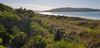 To Middleton Beach