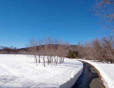The nice paved trail around a local lake
