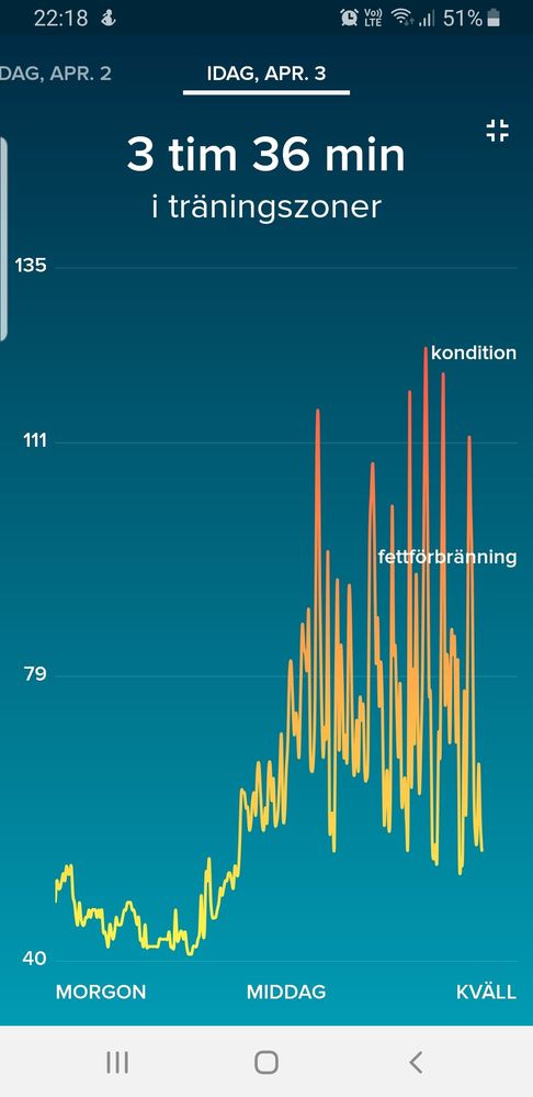 Screenshot_20190403-221854_Fitbit.jpg