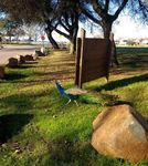 peacock.jpg