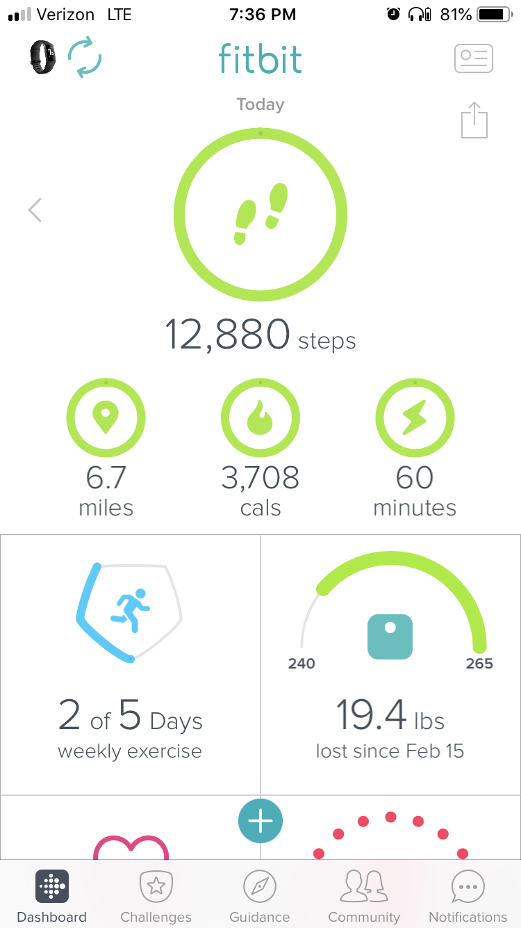 fitbit that counts steps