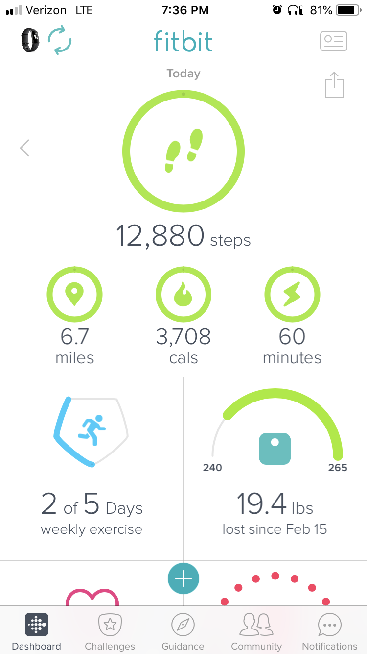 fitbit step counter