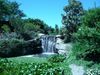 huntervalleygardens.jpg