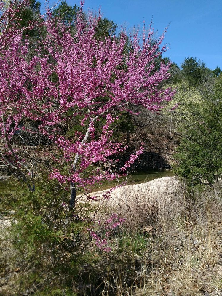 Down by the creek