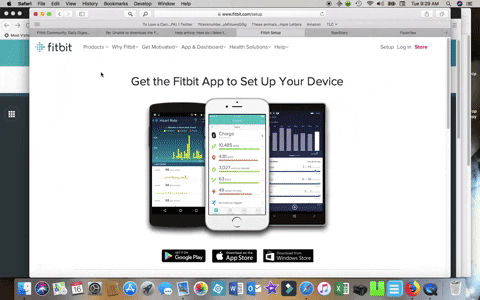 fitbit app for macbook air