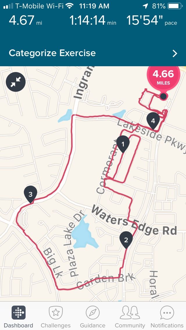 Fitbit charge cheap 3 gps running