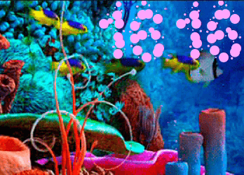 Aquarium