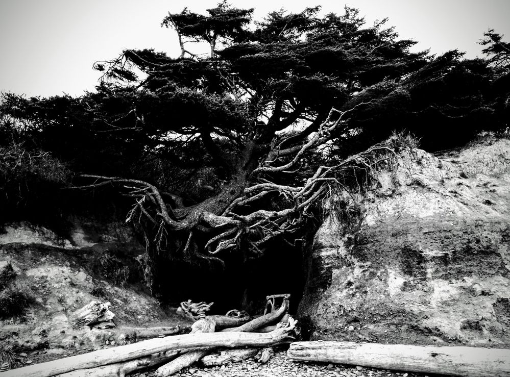 Olympia National Park