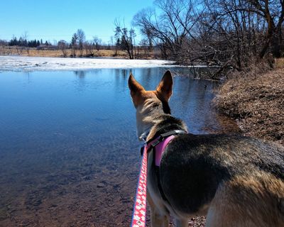 Strawberry Lake has a 1.1 Mile Loop with a paved trail.