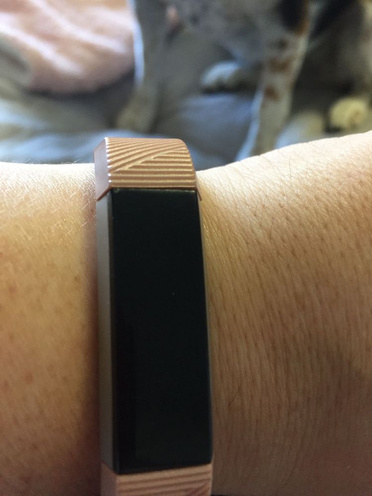 Solved Alta battery and display issues Fitbit Community