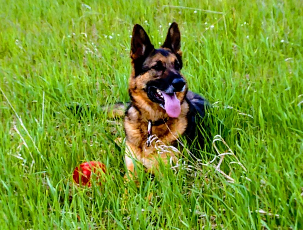 Cam taking a break in the field!