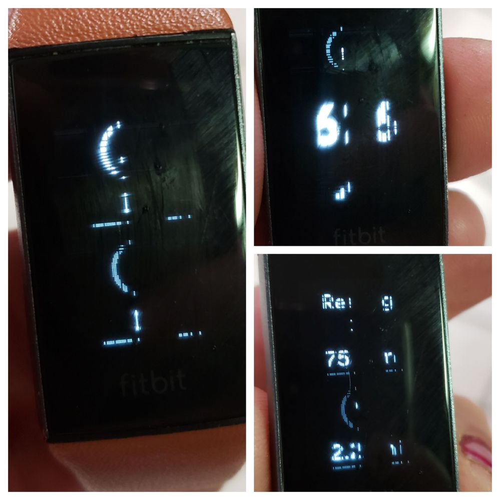 Charge 3 fitbit display not online working