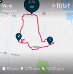 Screenshot_20190524-204444_Fitbit.jpg