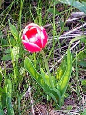 IMG_20190525_171923.jpg