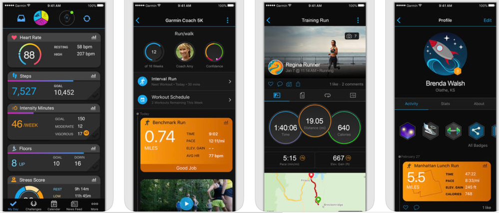 garminapp.PNG