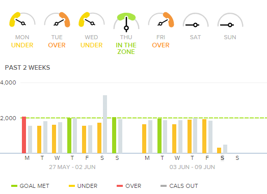 Fitbit calorie counting hot sale