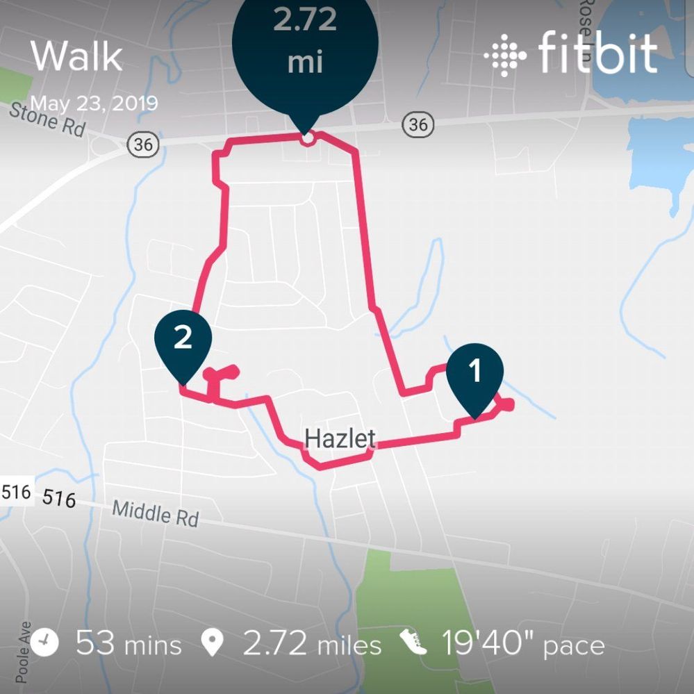 Fitbit track running sales route