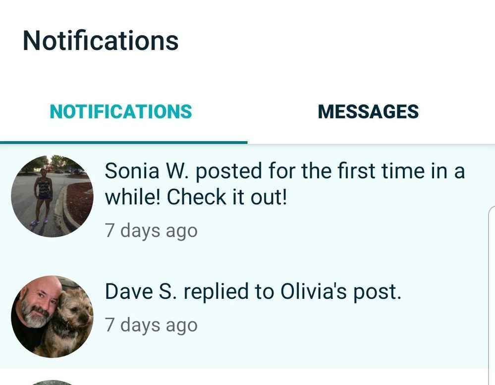 Screenshot_20190617-024539_Fitbit.jpg