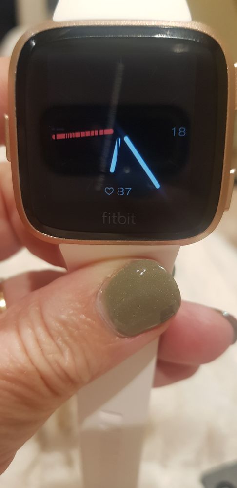 Took over an hour to get this this stage and only part of the watch displaying