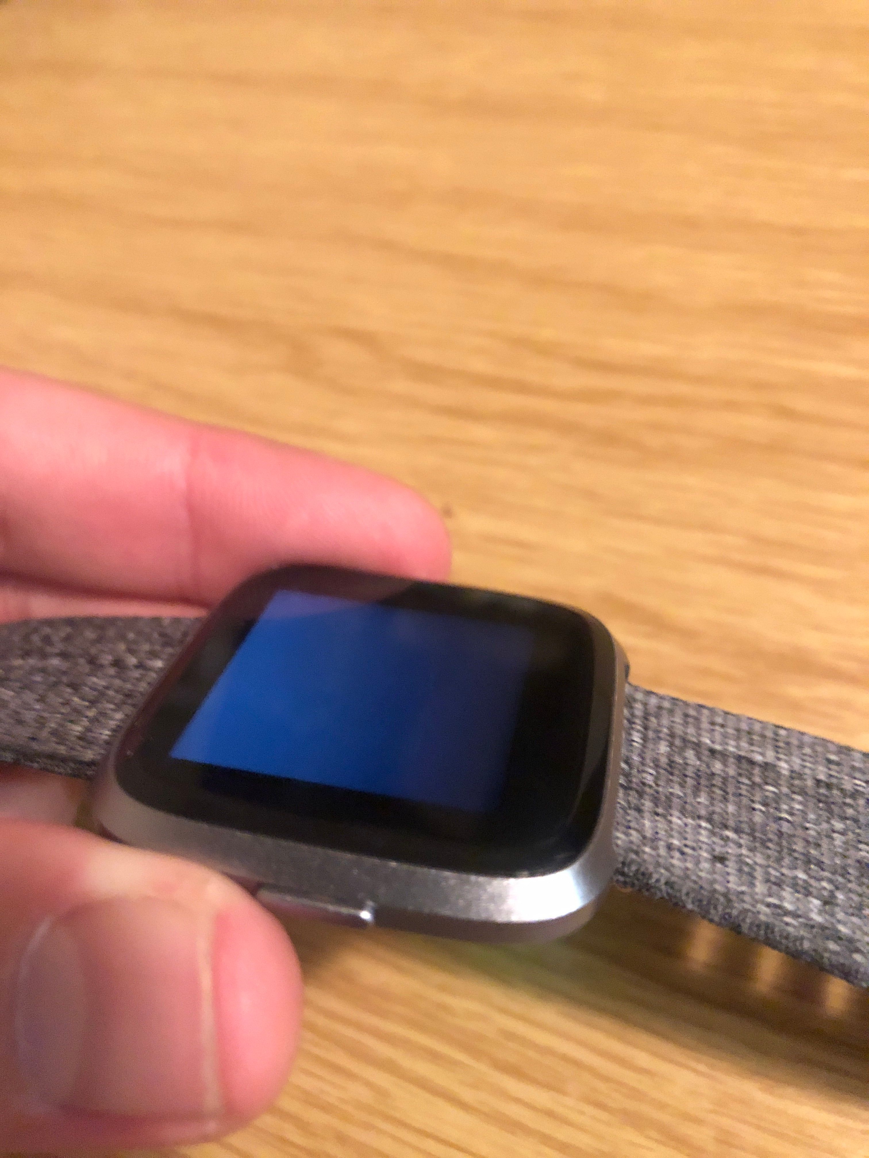 Fitbit store versa dischem