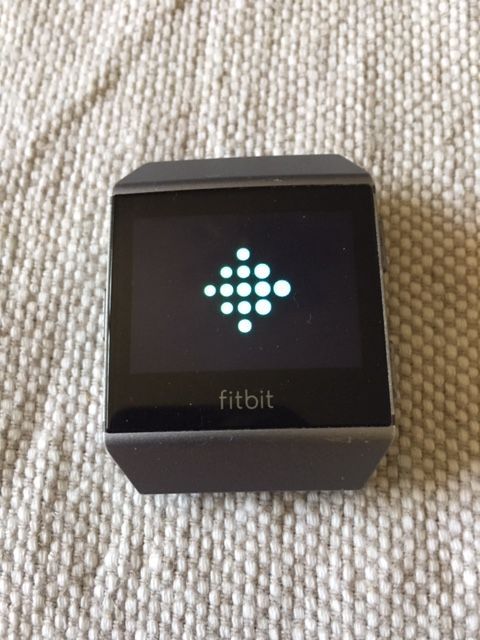 foto1