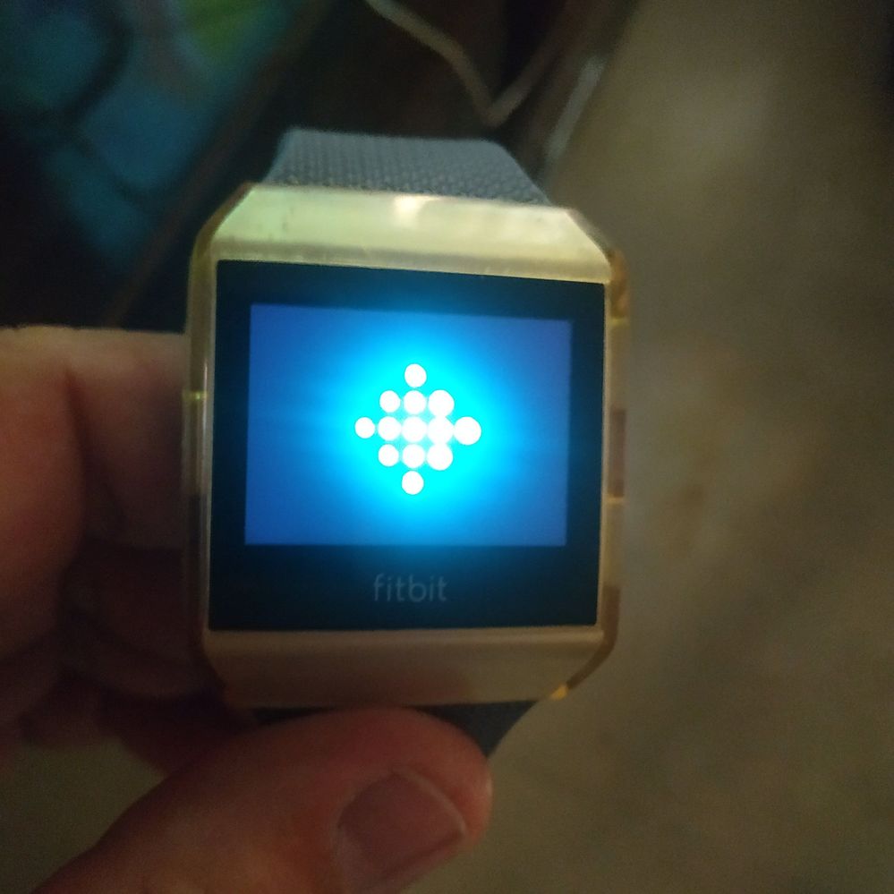 15622224621235957603546327561239.jpg