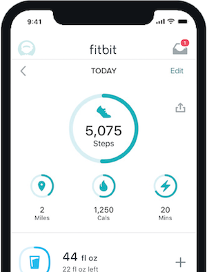 fitbit icon