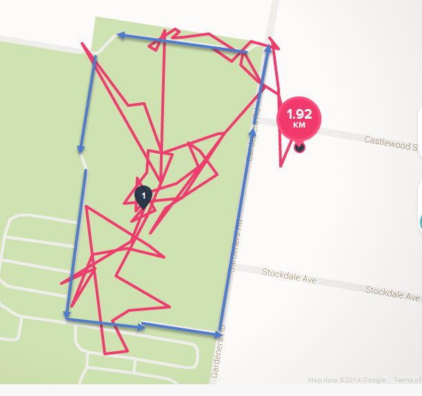 gps 4.jpg