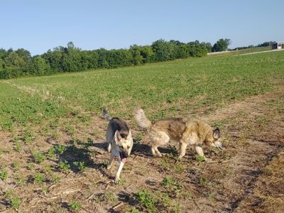 Down on the farm in Northern Illinois.