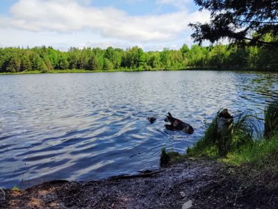 One of our favorite watering holes in Michigan.