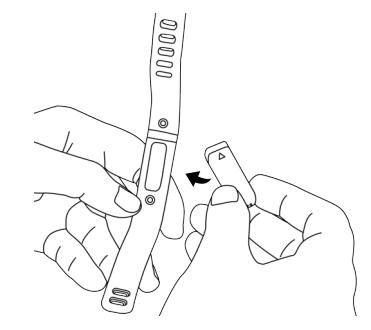 how to insert the flex.JPG