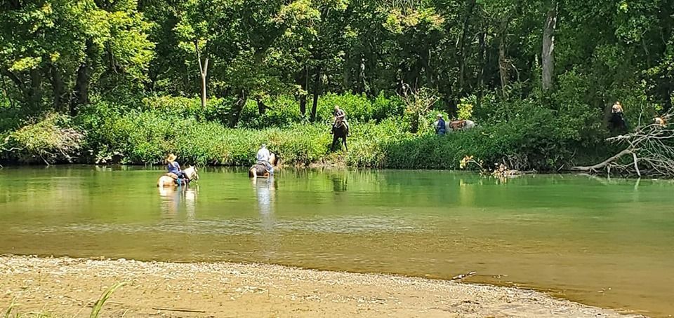 The black horse on the bank did not want to cross!