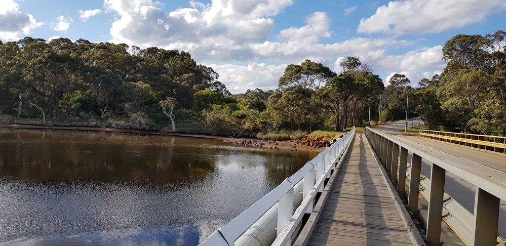 Lower King Bridge over the King River