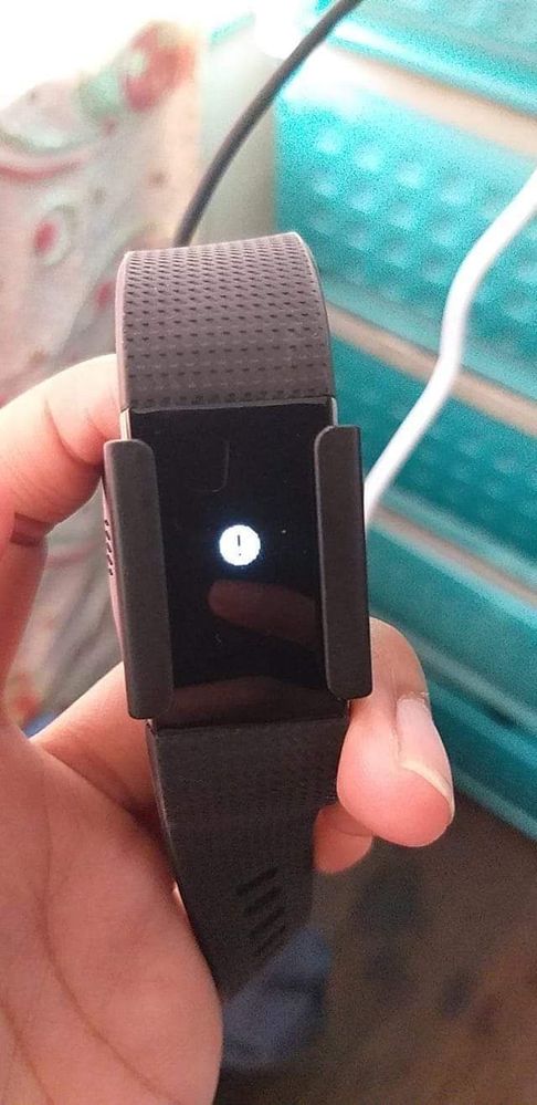 Fitbit charge 2 display not online working