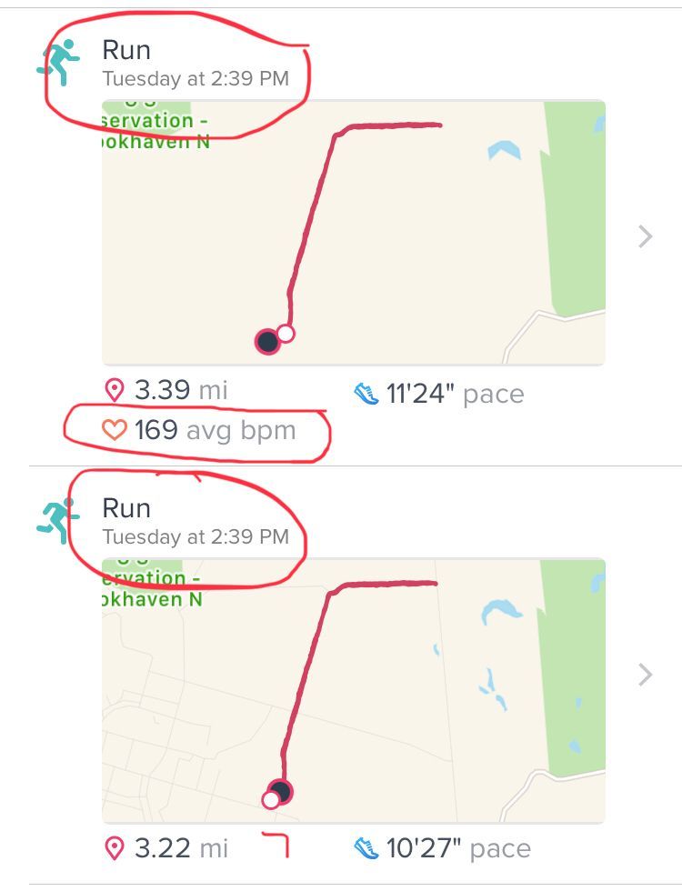 FitBitApp.jpeg