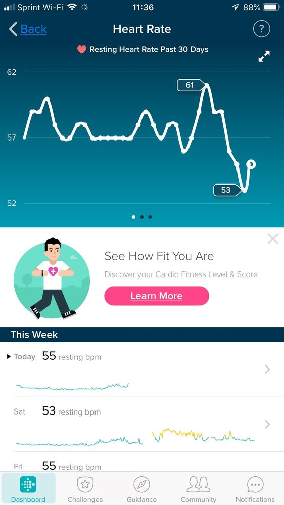 Fitbit2.jpg